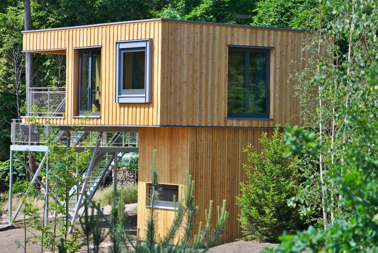 Baumwipfel-Resort "Lug Ins Land" Ilsenburg Extérieur photo